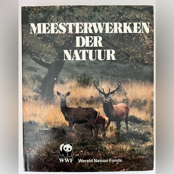 Set of Books - Picture 11 of 13